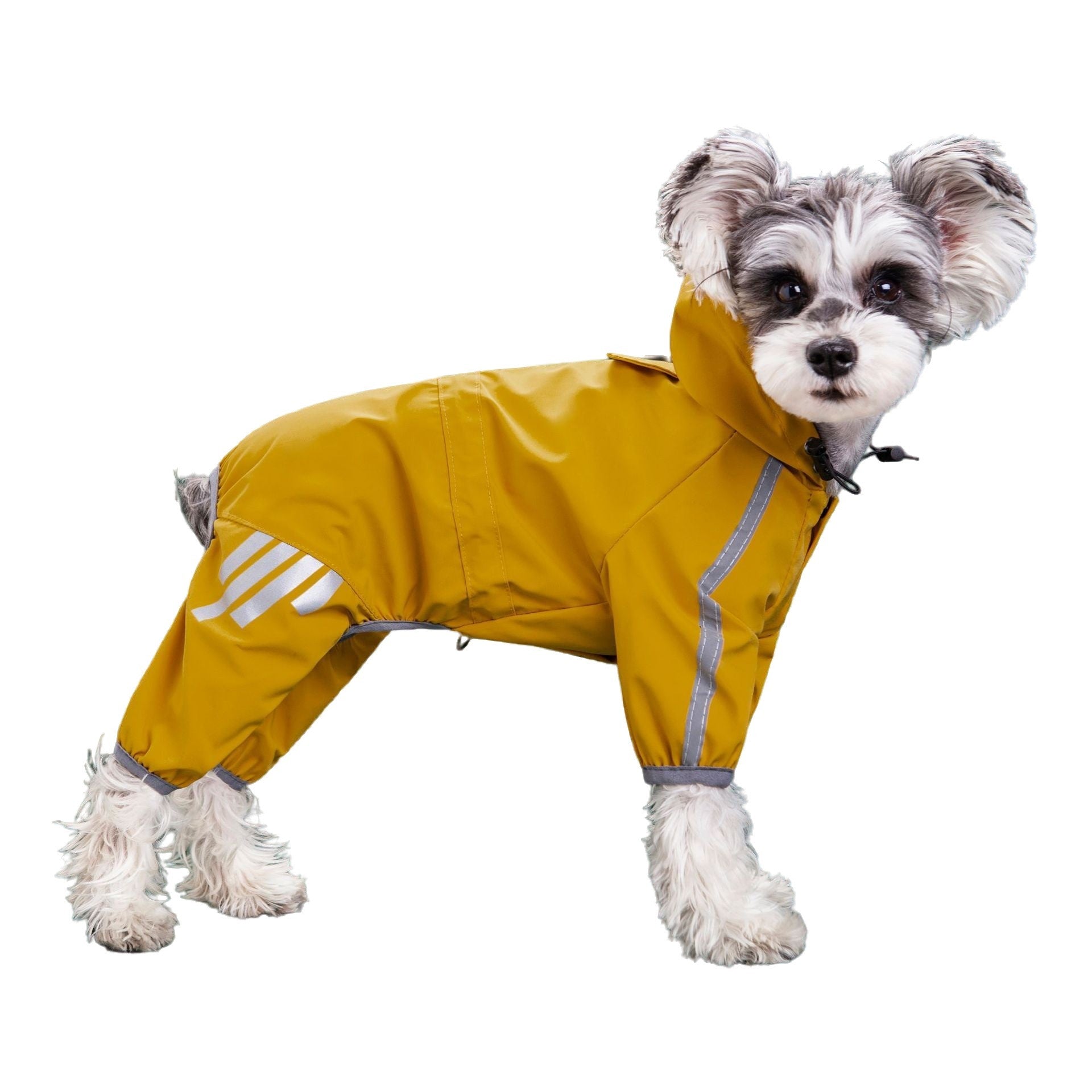 Capa de Chuva Impermeável e Refletiva para Cães